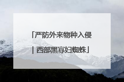 严防外来物种入侵｜西部黑寡妇蜘蛛