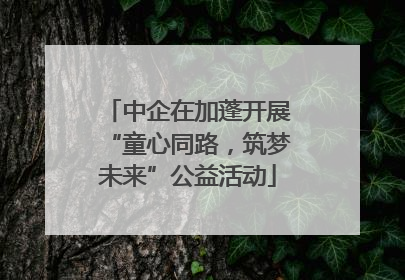 中企在加蓬开展“童心同路，筑梦未来”公益活动
