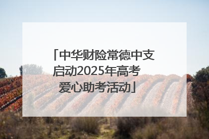 中华财险常德中支启动2025年高考爱心助考活动