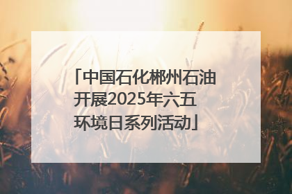 中国石化郴州石油开展2025年六五环境日系列活动