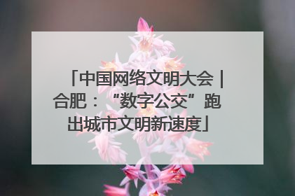 中国网络文明大会｜合肥：“数字公交”跑出城市文明新速度