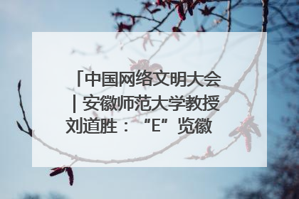 中国网络文明大会｜安徽师范大学教授刘道胜：“E”览徽风，构筑中华民族共有精神家园
