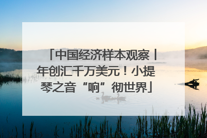 中国经济样本观察丨年创汇千万美元！小提琴之音“响”彻世界