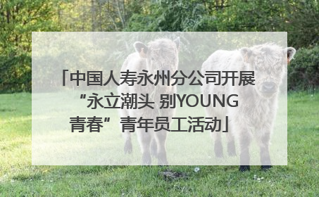 中国人寿永州分公司开展“永立潮头 别YOUNG青春”青年员工活动