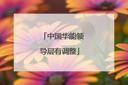 中国华能领导层有调整