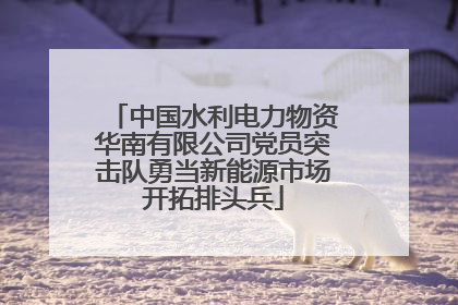 中国水利电力物资华南有限公司党员突击队勇当新能源市场开拓排头兵