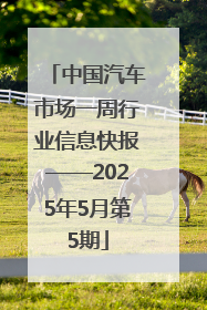 中国汽车市场一周行业信息快报——2025年5月第5期