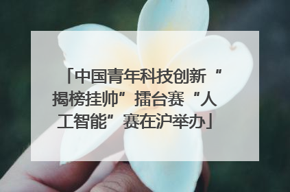 中国青年科技创新“揭榜挂帅”擂台赛“人工智能”赛在沪举办