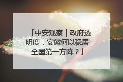 中安观察｜政府透明度，安徽何以稳居全国第一方阵？