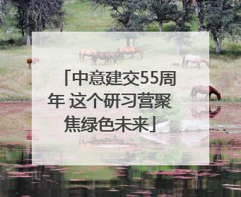 中意建交55周年 这个研习营聚焦绿色未来
