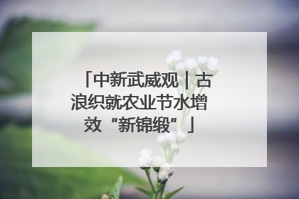中新武威观｜古浪织就农业节水增效“新锦缎”