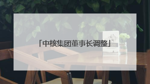 中核集团董事长调整