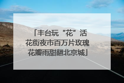 丰台玩“花”活 花街夜市百万片玫瑰花瓣雨甜翻北京城