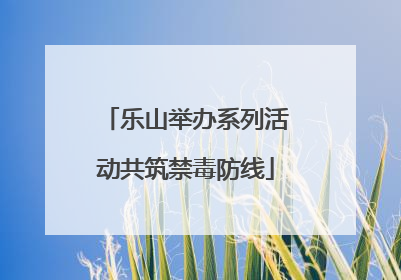 乐山举办系列活动共筑禁毒防线