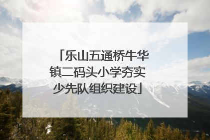 乐山五通桥牛华镇二码头小学夯实少先队组织建设