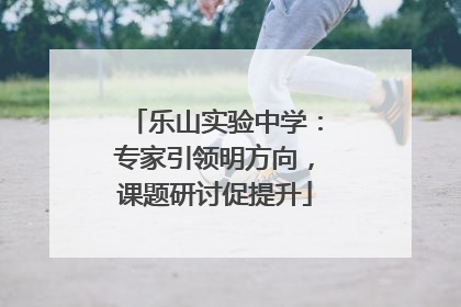 乐山实验中学：专家引领明方向，课题研讨促提升
