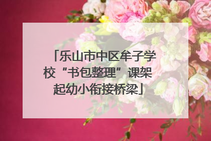 乐山市中区牟子学校“书包整理”课架起幼小衔接桥梁