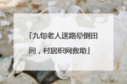 九旬老人迷路晕倒田间，村居织网救助