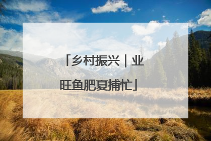 乡村振兴｜业旺鱼肥夏捕忙