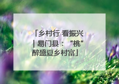 乡村行 看振兴｜易门县：“桃”醉盛夏乡村富