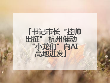 书记市长“挂帅出征” 杭州催动“小龙们”向AI高地进发