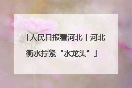 人民日报看河北丨河北衡水拧紧“水龙头”