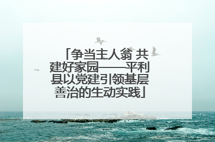 争当主人翁 共建好家园——平利县以党建引领基层善治的生动实践