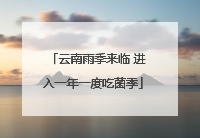 云南雨季来临 进入一年一度吃菌季