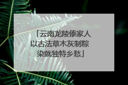 云南龙陵傣家人以古法草木灰制粽 染就独特乡愁