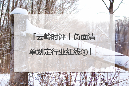 云岭时评丨负面清单划定行业红线③