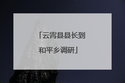 云霄县县长到和平乡调研