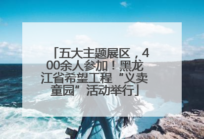 五大主题展区，400余人参加！黑龙江省希望工程“义卖童园”活动举行
