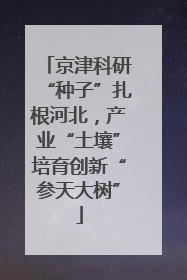 京津科研“种子”扎根河北，产业“土壤”培育创新“参天大树”