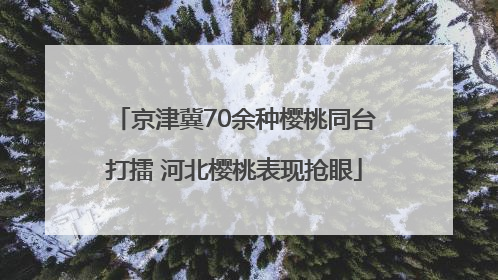 京津冀70余种樱桃同台打擂 河北樱桃表现抢眼