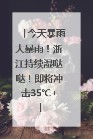 今天暴雨大暴雨！浙江持续湿哒哒！即将冲击35℃+
