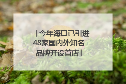 今年海口已引进48家国内外知名品牌开设首店