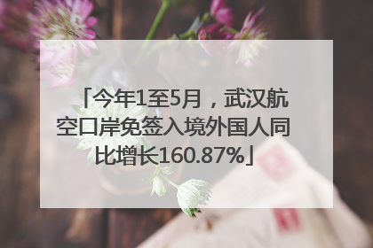 今年1至5月，武汉航空口岸免签入境外国人同比增长160.87%