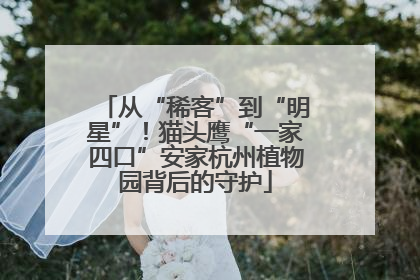 从“稀客”到“明星”！猫头鹰“一家四口”安家杭州植物园背后的守护