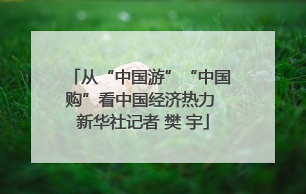 从“中国游”“中国购”看中国经济热力 新华社记者 樊 宇