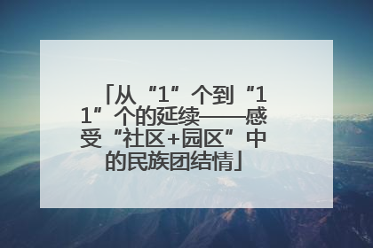 从“1”个到“11”个的延续——感受“社区+园区”中的民族团结情