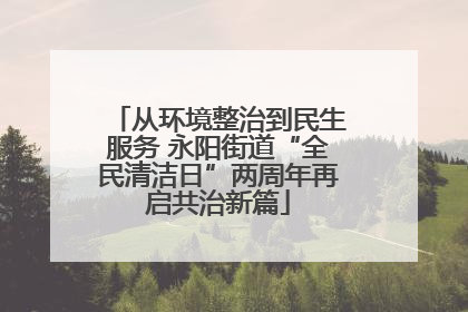 从环境整治到民生服务 永阳街道“全民清洁日”两周年再启共治新篇