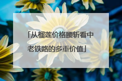 从榴莲价格腰斩看中老铁路的多重价值