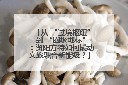 从 “过境枢纽” 到 “圈级地标”：资阳方特如何撬动文旅融合新能级？