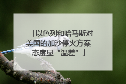 以色列和哈马斯对美国的加沙停火方案态度显“温差”