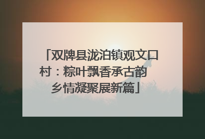 双牌县泷泊镇观文口村：粽叶飘香承古韵 乡情凝聚展新篇