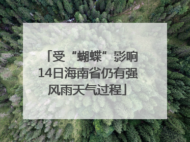 受“蝴蝶”影响 14日海南省仍有强风雨天气过程