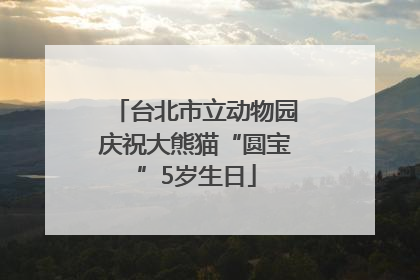 台北市立动物园庆祝大熊猫“圆宝”5岁生日