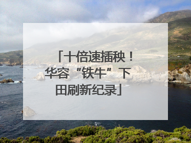 十倍速插秧！华容“铁牛”下田刷新纪录