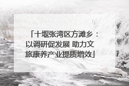 十堰张湾区方滩乡：以调研促发展 助力文旅康养产业提质增效