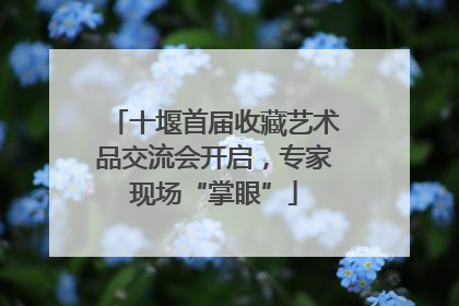 十堰首届收藏艺术品交流会开启，专家现场“掌眼”